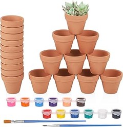 Pros y contras de usar macetas de barro para tus plantas