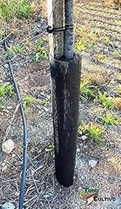 Pros y contras de usar protectores de troncos en tus árboles