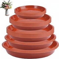 Ventajas y desventajas de los platos para macetas
