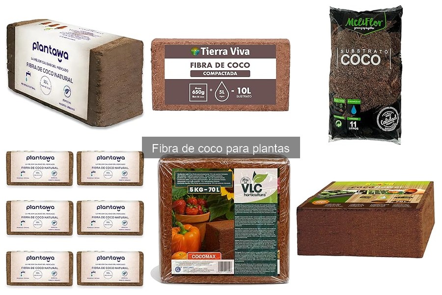 Alternativas a la fibra de coco para plantar en tu huerto