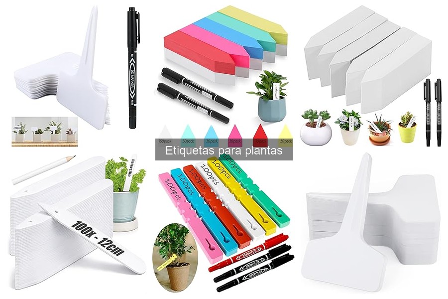 Alternativas a las Etiquetas para Plantas: ¡Descubre Nuevas Opciones!