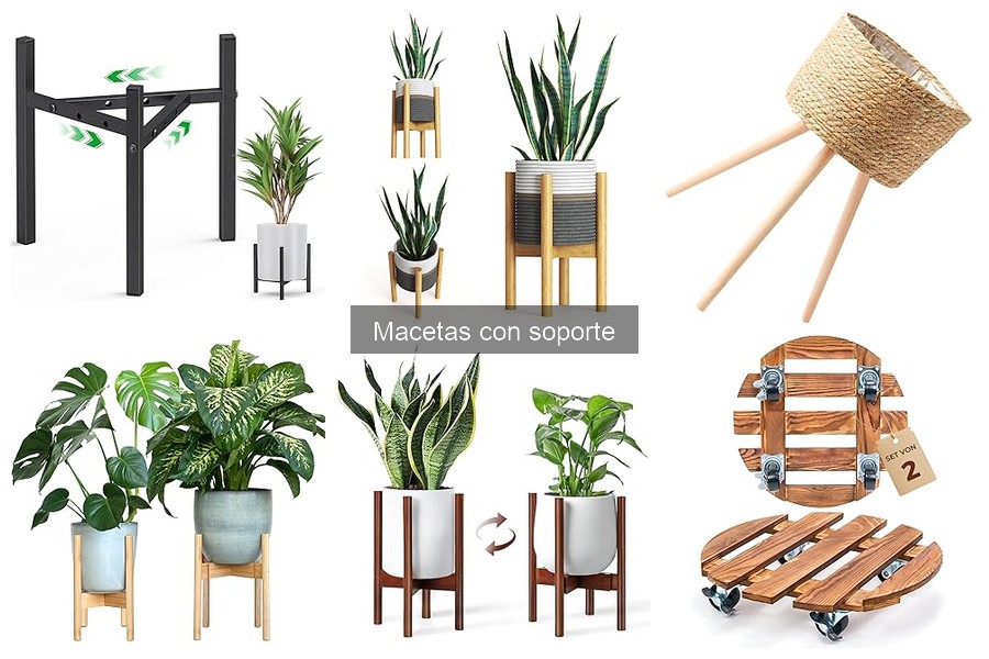 Alternativas a las macetas con soporte para tus plantas