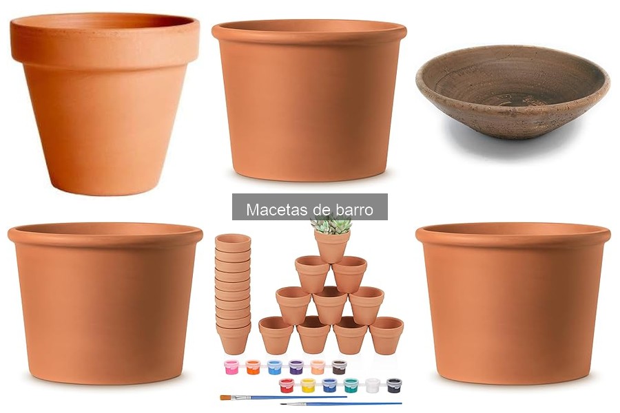 Alternativas a las Macetas de Barro para tu Huerto Urbano