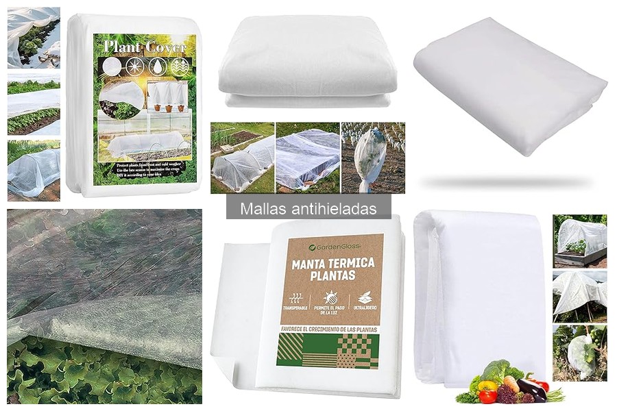 Alternativas a las Mallas Antihieladas para Proteger tus Plantas