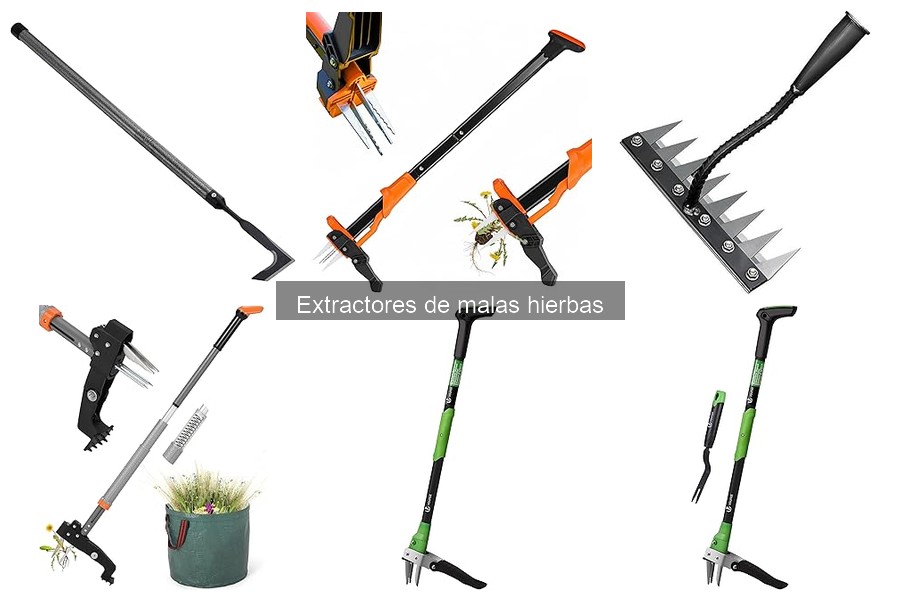 Alternativas a los extractores de malas hierbas en jardinería