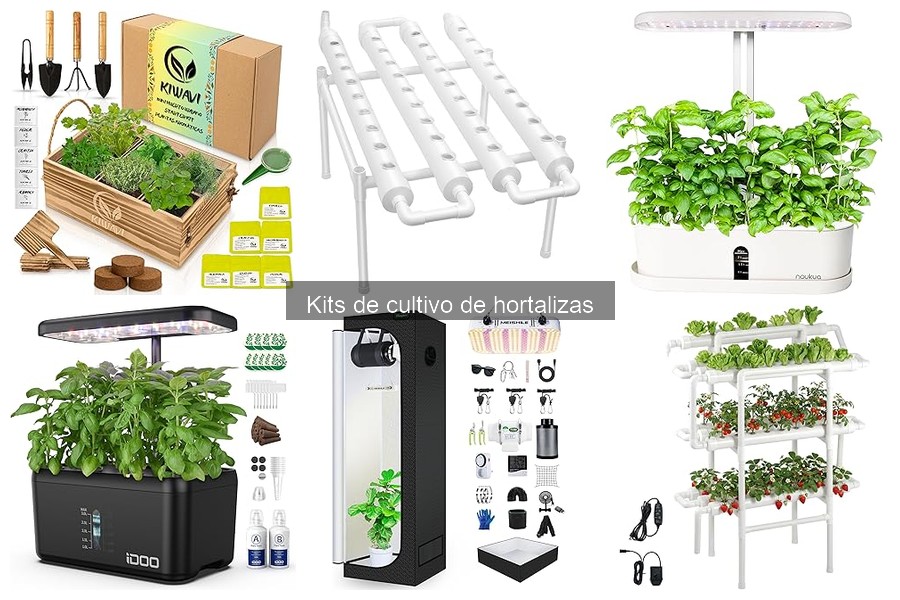 Alternativas a los kits de cultivo de hortalizas