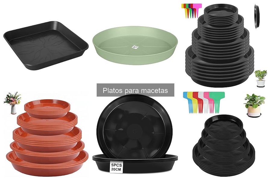 Alternativas a los Platos para Macetas: Métodos de Drenaje Efectivos