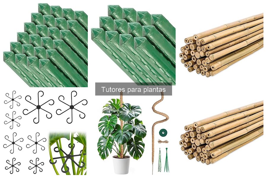 Alternativas a los tutores para plantas: mejores opciones