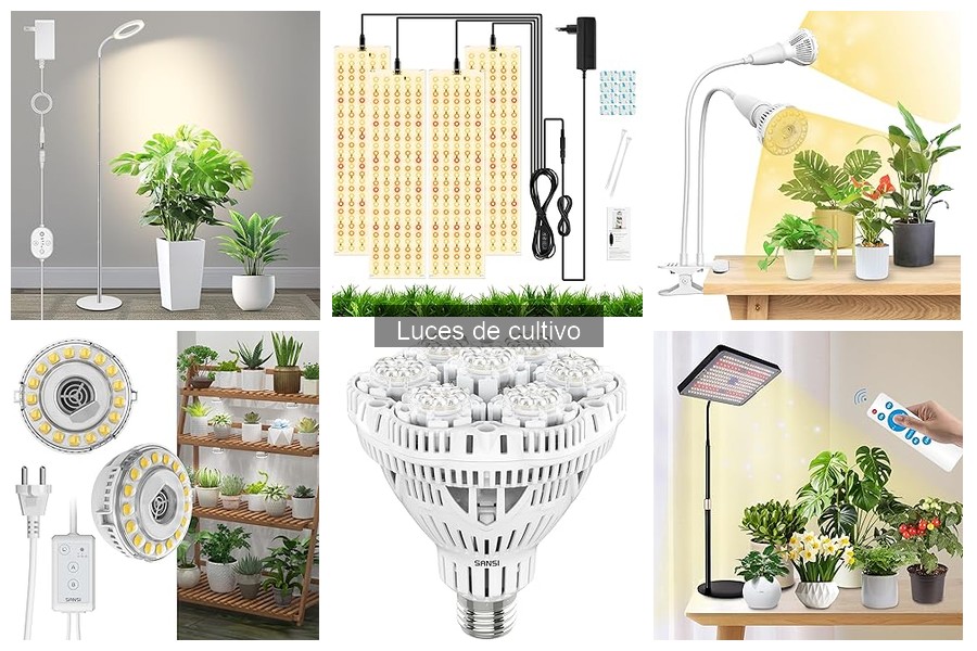 Alternativas a luces de cultivo para el crecimiento de plantas
