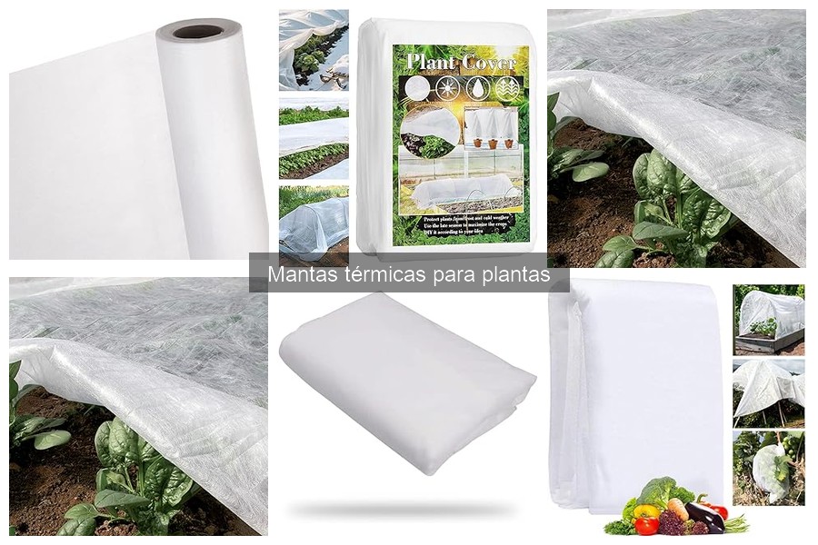 Alternativas a mantas térmicas para proteger tus plantas