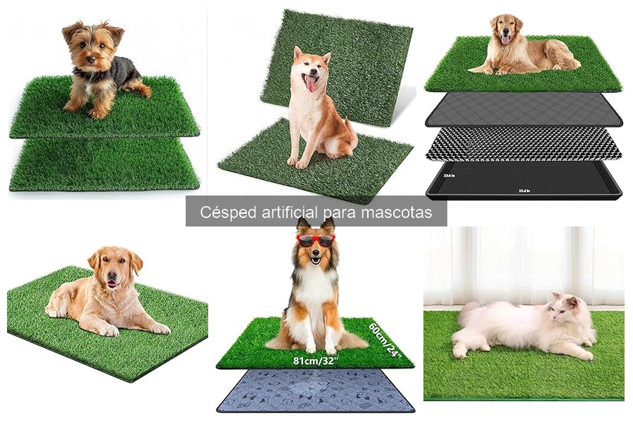 Alternativas al césped artificial para mascotas en tu jardín