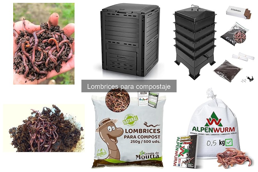 Alternativas al Compostaje con Lombrices: Guía Práctica