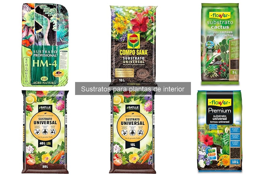Alternativas Caseras a Sustratos Comerciales para Plantas