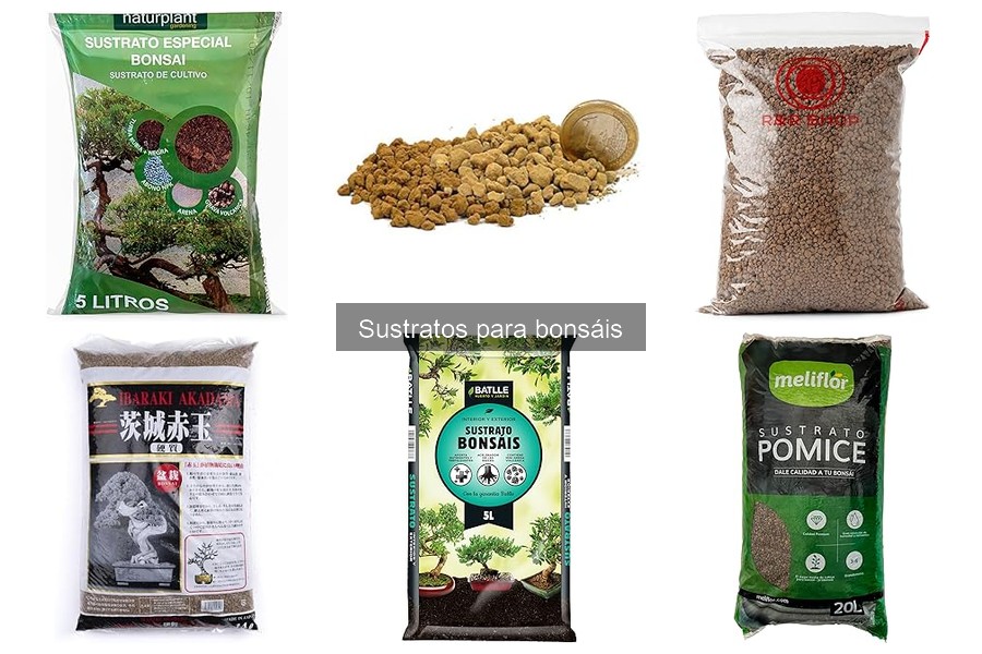 Alternativas Caseras al Sustrato Comercial para Bonsáis