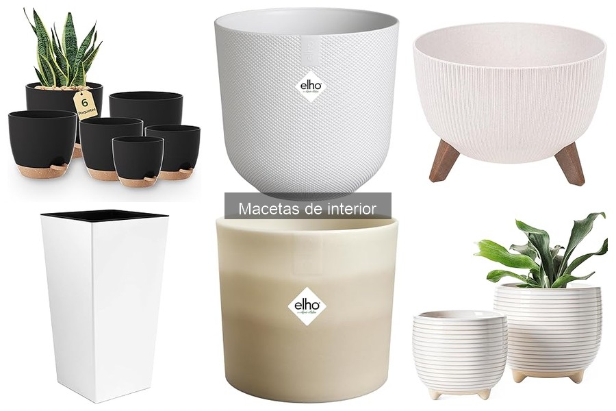 Alternativas creativas a macetas de interior convencionales