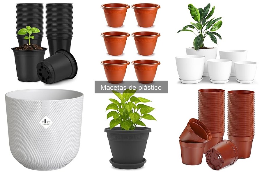 Alternativas Ecológicas a las Macetas de Plástico