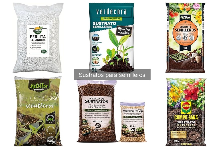 Alternativas naturales a sustratos para semilleros