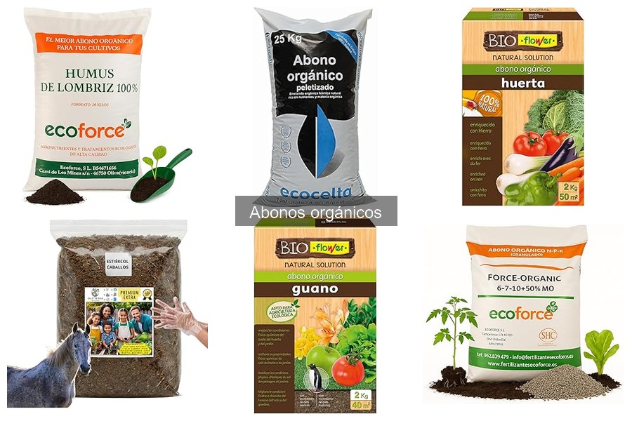 Beneficios Ambientales de los Abonos Orgánicos en Jardinería