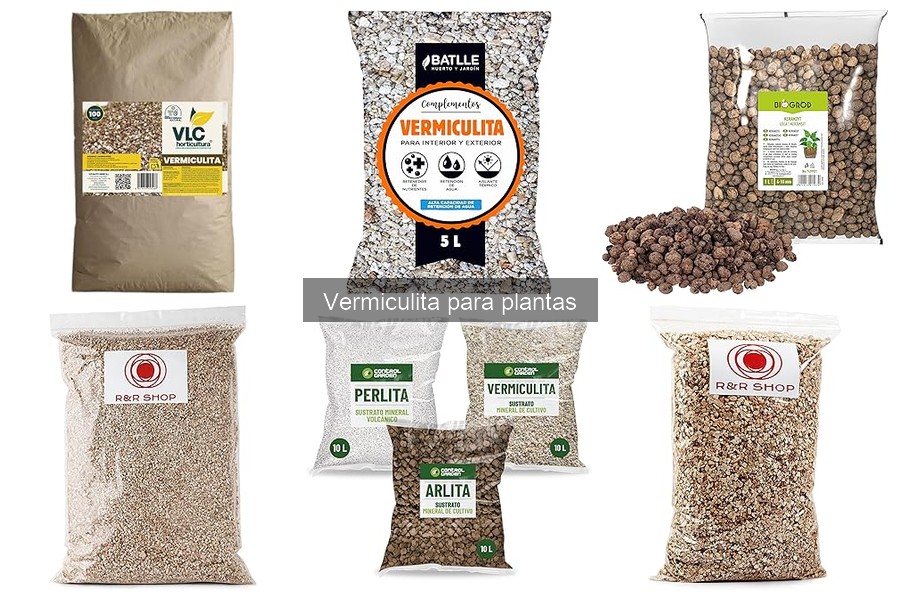 Beneficios de la Vermiculita en la Siembra de Semillas
