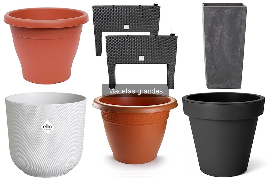 Beneficios de las Macetas Grandes en Jardinería Doméstica