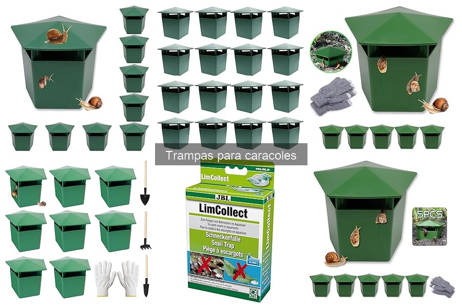 Beneficios de Usar Trampas para Caracoles en tu Huerto