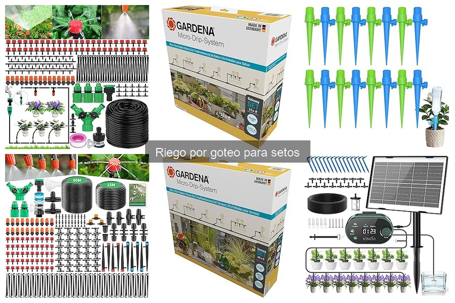 Beneficios del riego por goteo para setos: Ahorra agua y mejora