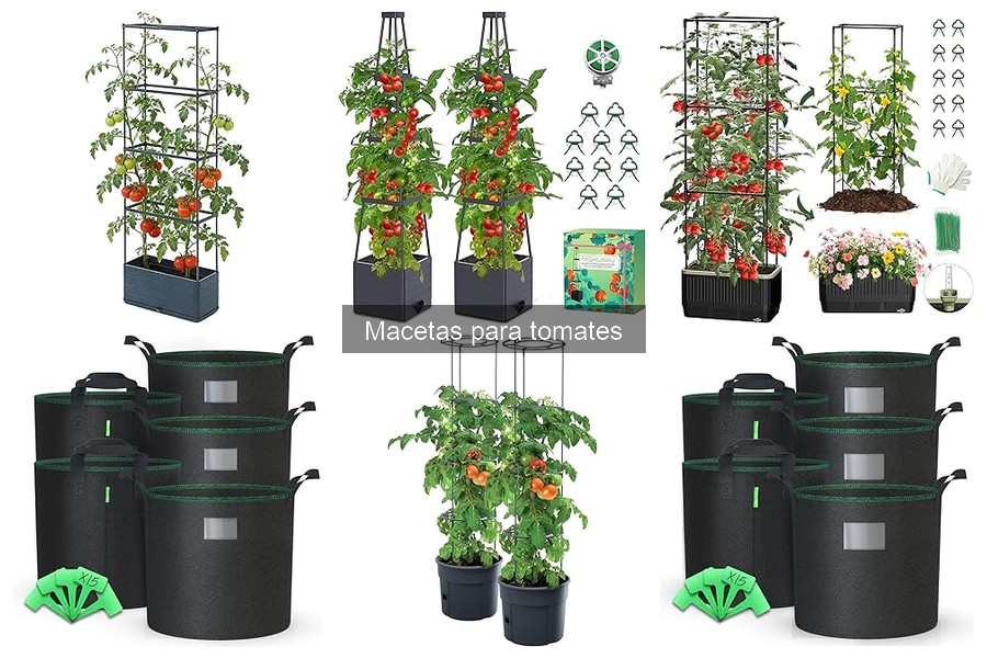 Beneficios y características de las macetas para tomates