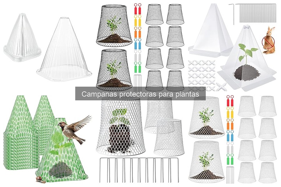 Campanas protectoras para plantas: ¿Qué son y sus beneficios?