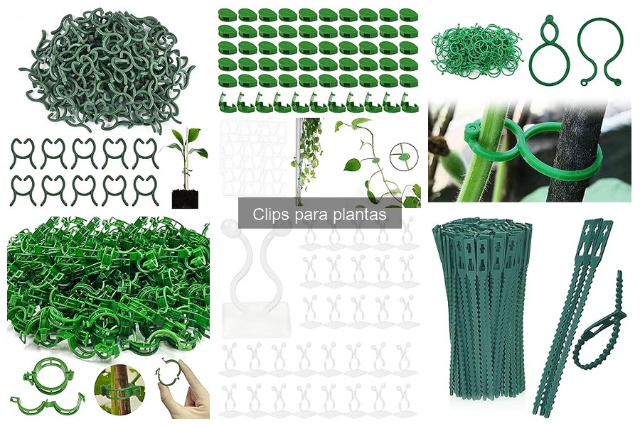 Clips para plantas vs estacas: ¿Cuál elegir para tu jardín?