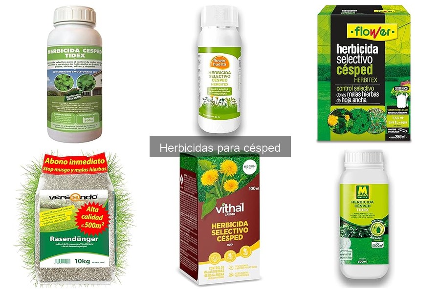 Cómo aplicar herbicidas para césped: guía práctica