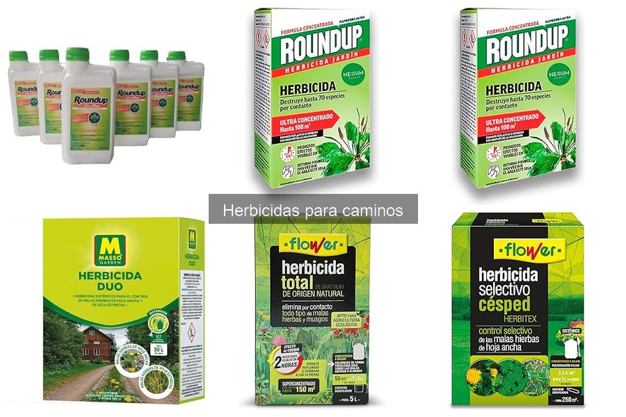 Cómo aplicar herbicidas sin dañar plantas cercanas