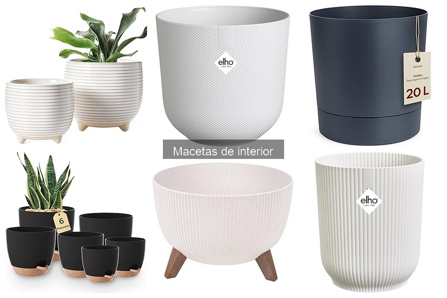 Cómo cuidar tus macetas de interior: tips esenciales