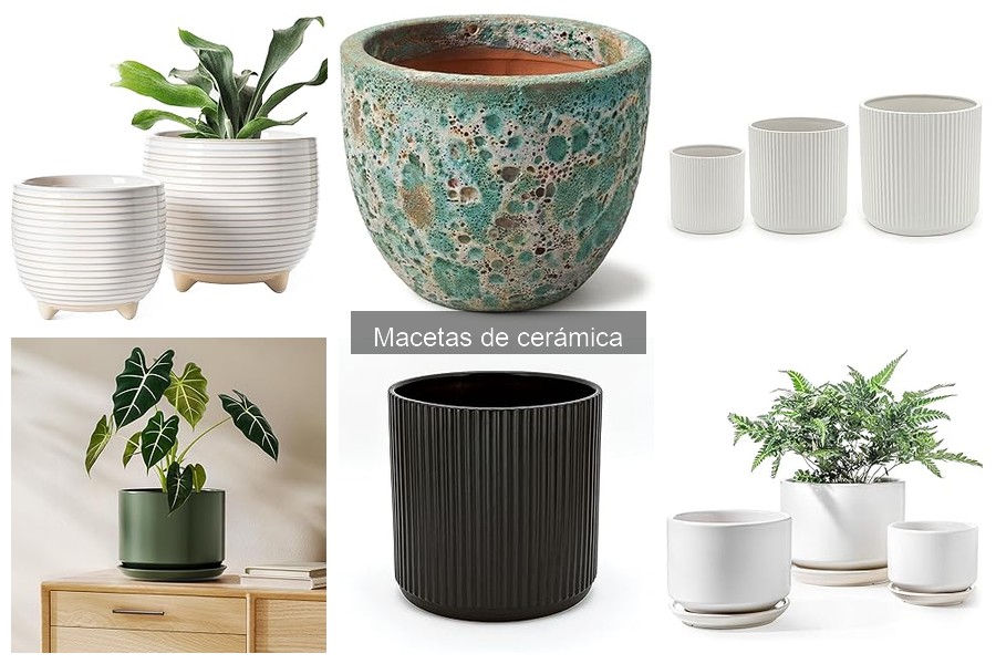 Cómo cuidar y mantener macetas de cerámica de forma efectiva