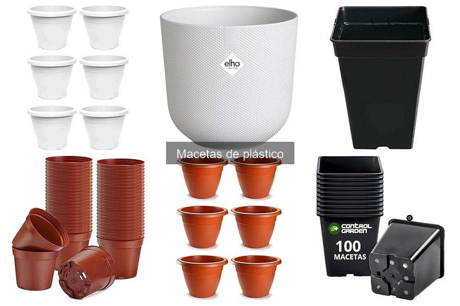 Cómo cuidar y mantener tus macetas de plástico