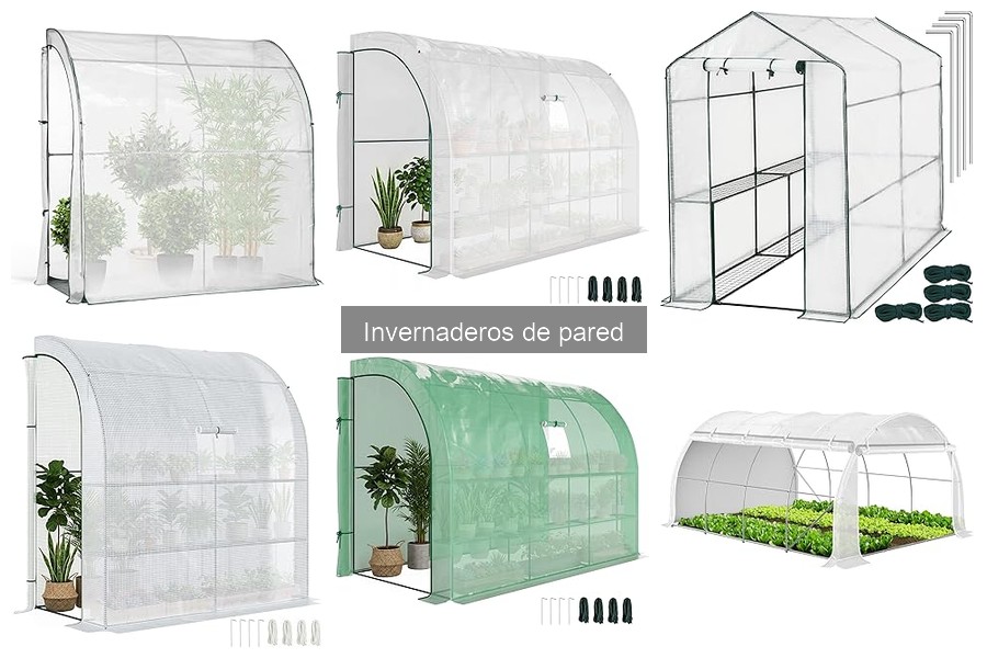 Cómo elegir el invernadero de pared ideal para tu jardín