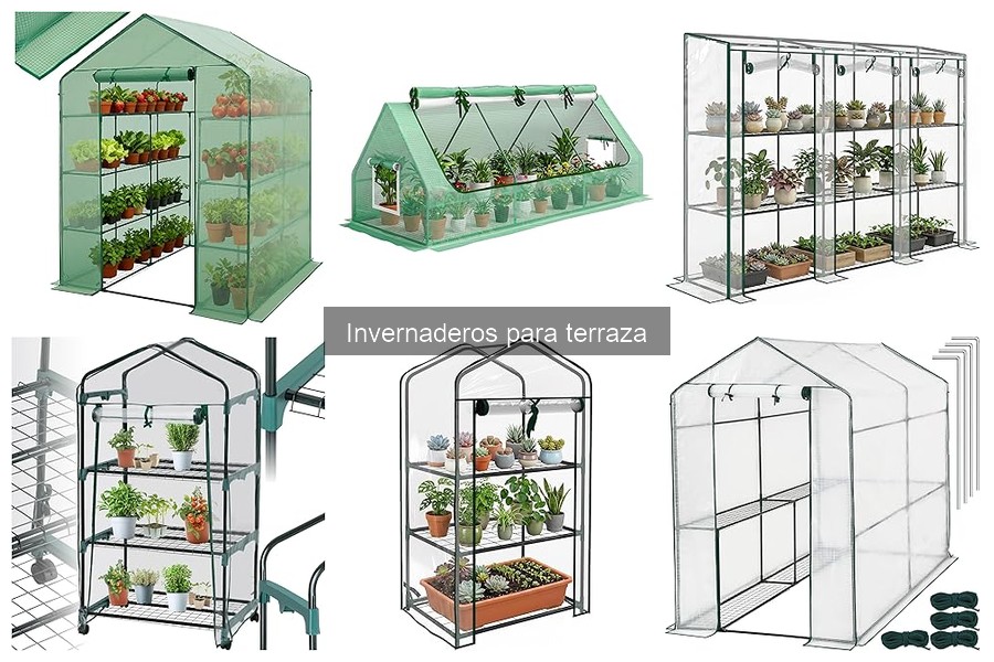 Cómo elegir el mejor invernadero para terraza según tu espacio