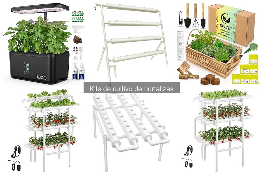 Cómo elegir el mejor kit de cultivo de hortalizas