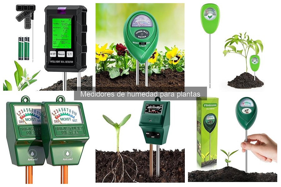 Cómo Elegir el Mejor Medidor de Humedad para Plantas