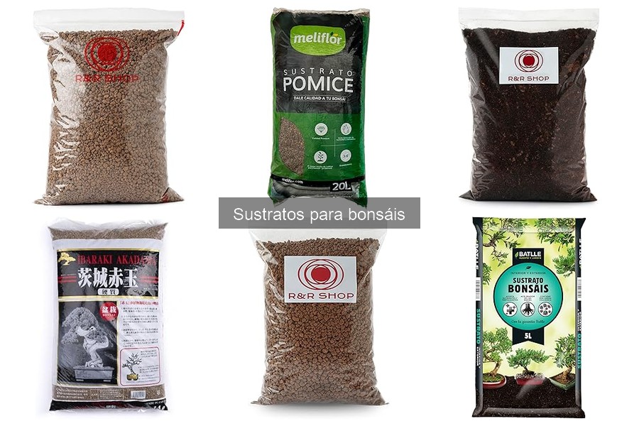 Cómo elegir el mejor sustrato para bonsáis: guía de compra