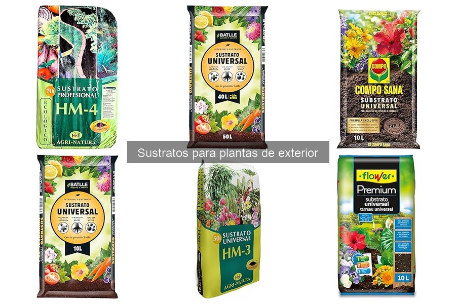 Cómo elegir el mejor sustrato para tus plantas de exterior