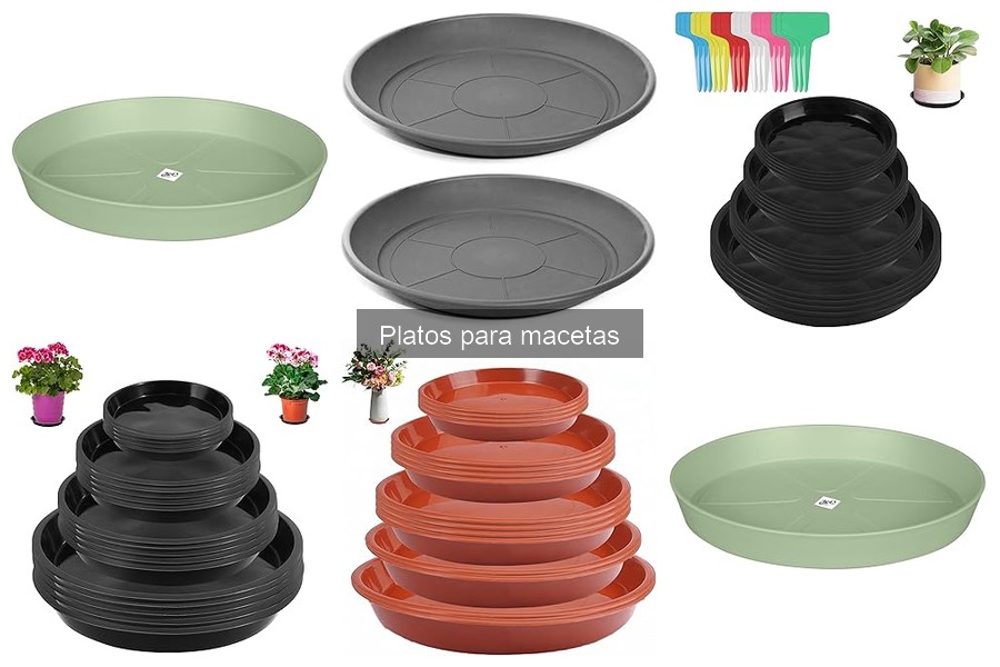 Cómo elegir el plato adecuado para macetas: guía práctica