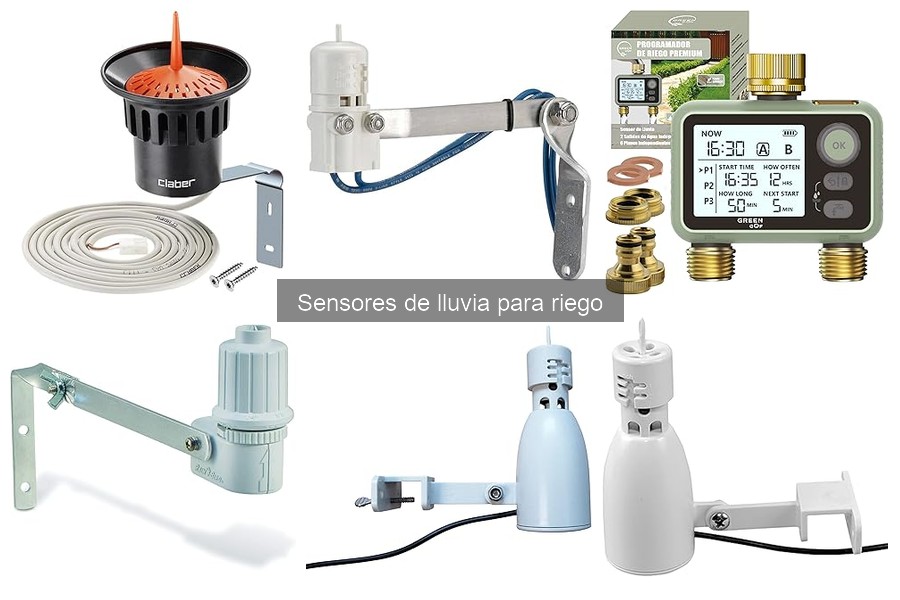 Cómo elegir el sensor de lluvia adecuado para tu riego
