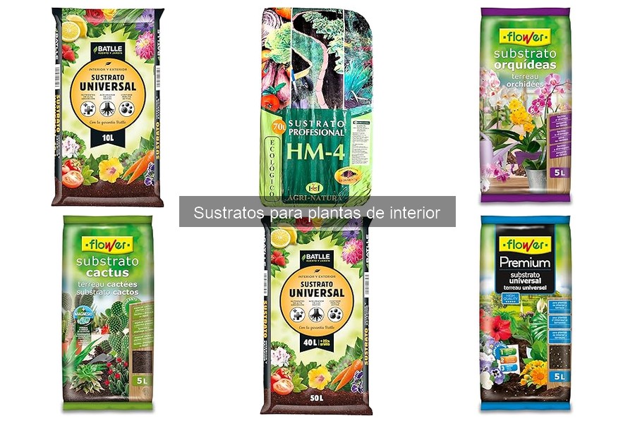 Cómo Elegir el Sustrato Ideal para Plantas de Interior