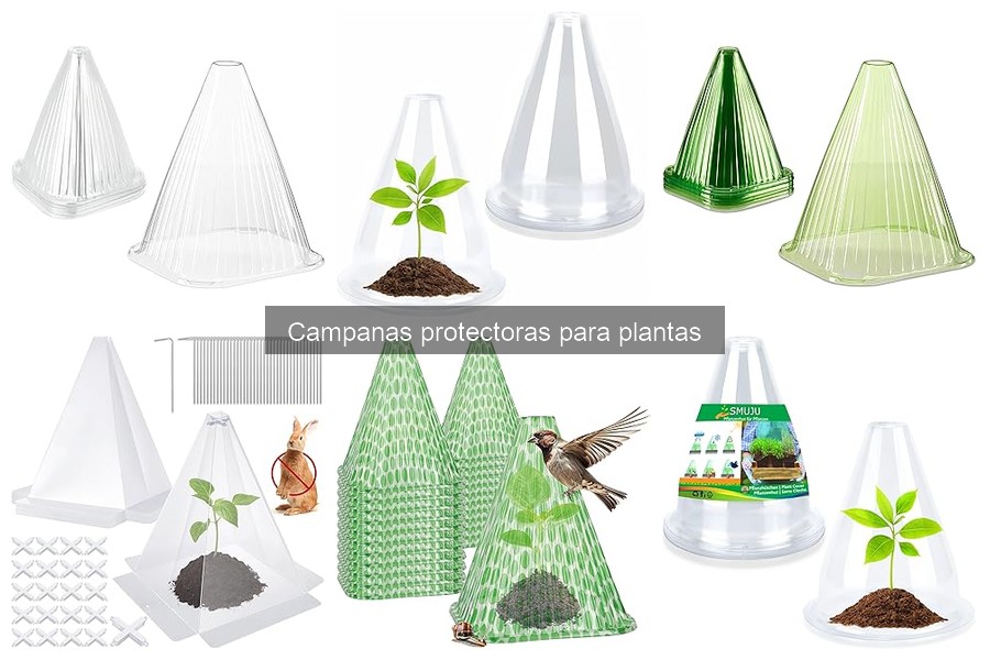 Cómo elegir la campana protectora perfecta para tus plantas