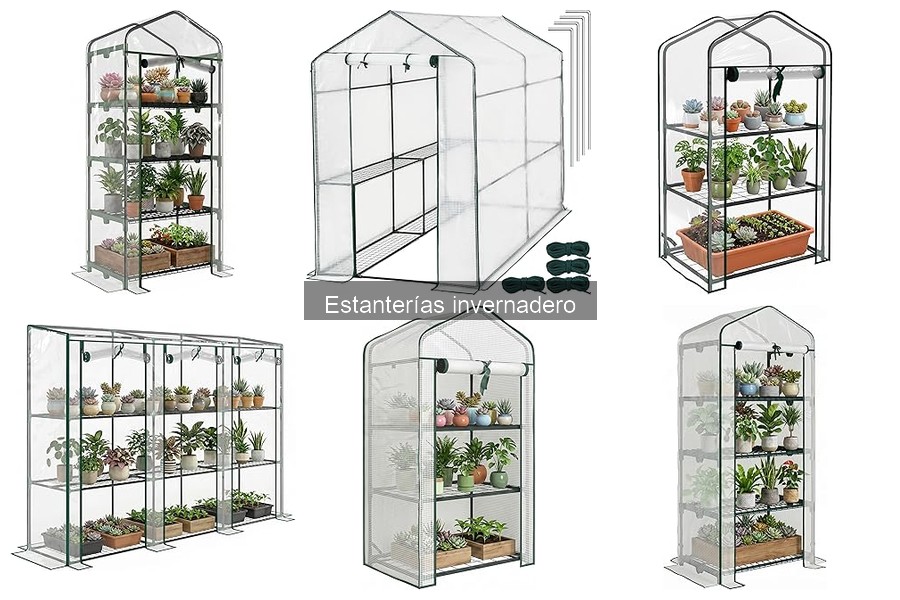 Cómo elegir la estantería perfecta para tu invernadero
