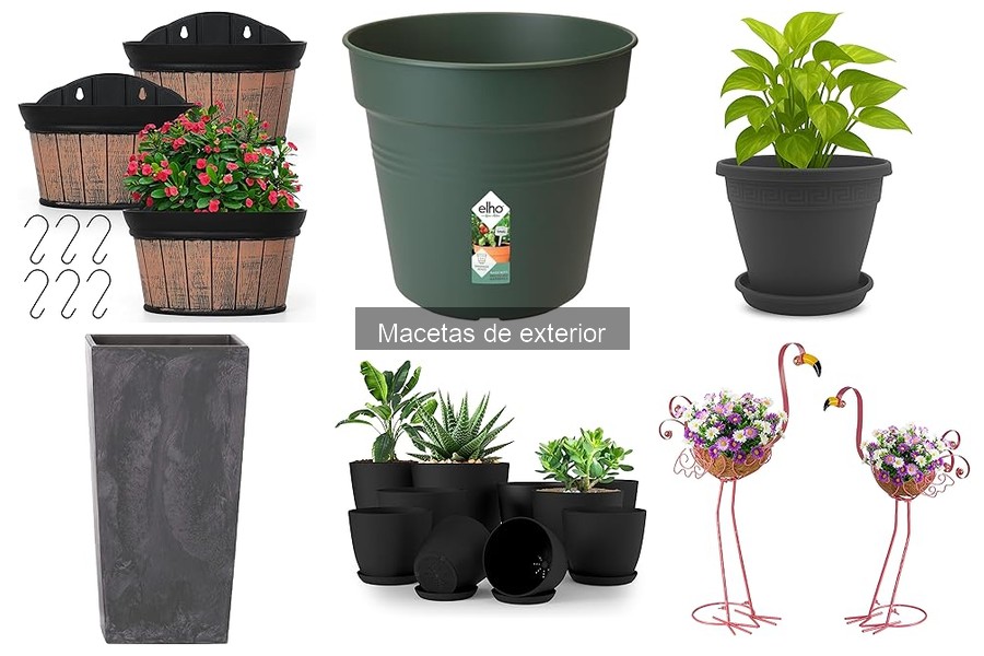 Cómo elegir la maceta adecuada para plantas de exterior