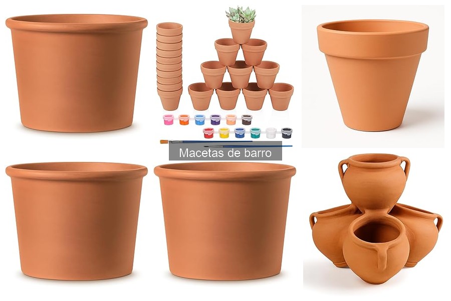 Cómo elegir la maceta de barro perfecta para tus plantas