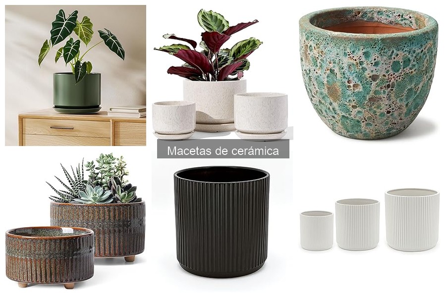 Cómo elegir la maceta de cerámica perfecta para tus plantas