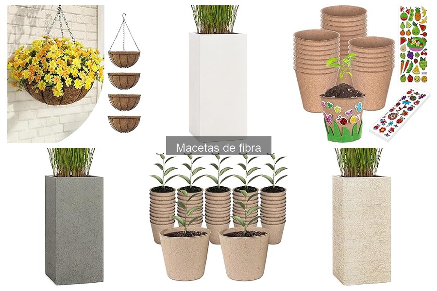 Cómo elegir la maceta de fibra ideal para tus plantas