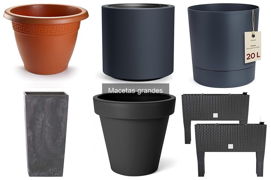 Cómo elegir la maceta grande ideal para tus plantas